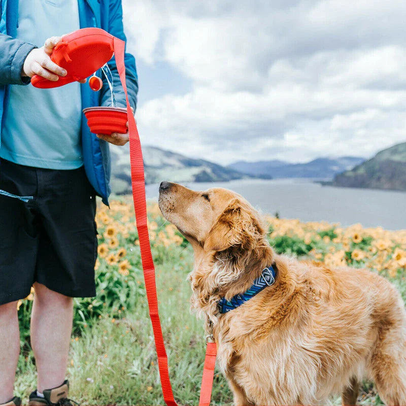 dog being handed a red water bottle while on a red collar on a mountain top with flowers and water in the background