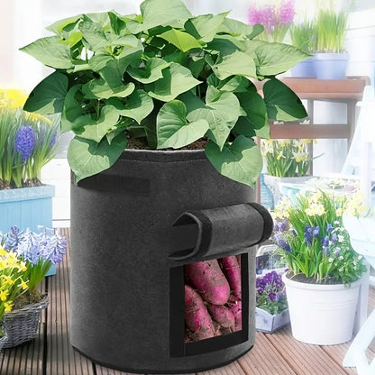 Vegetable Plant Felt Planting Bag