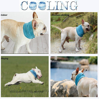 Cooling Dog Bandana