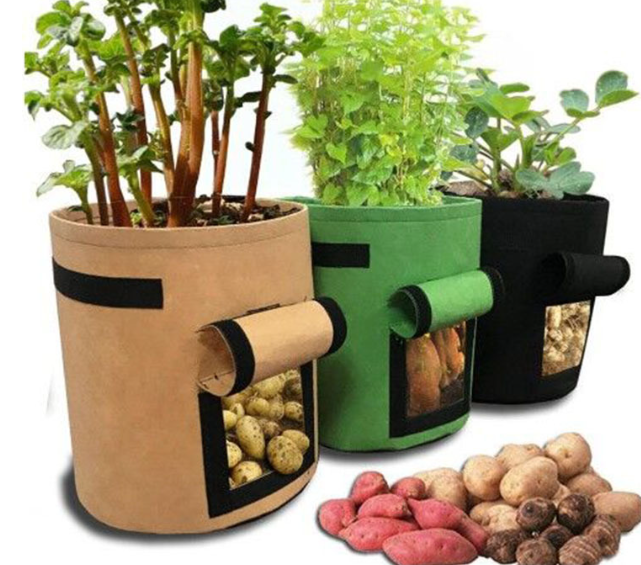 Vegetable Plant Felt Planting Bag