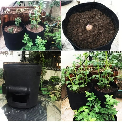 Vegetable Plant Felt Planting Bag