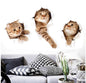 Cat Wall Decals