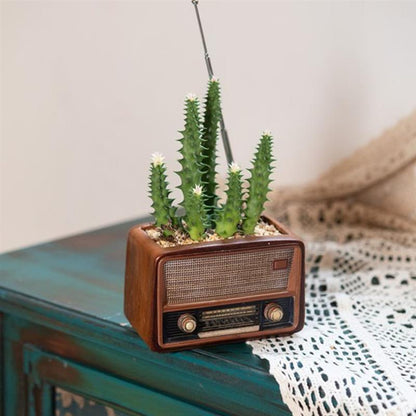 Retro Radio Shape Ornament Flower Pot (Eco-Friendly)