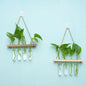 Solid Wood Frame Hydroponic Glass Vase Wall Hanging